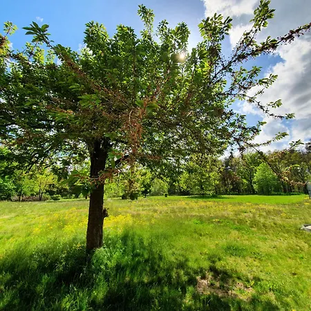 A2 Hotel Schopsdorf (Gentin)