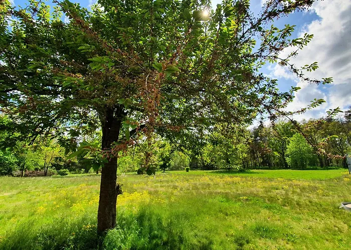 A2 Hotel Schopsdorf (Gentin)